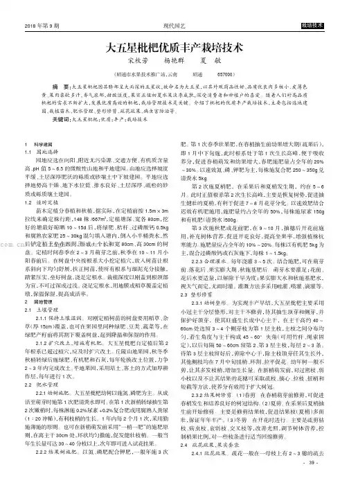 大五星枇杷优质丰产栽培技术