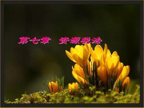 资源类税法