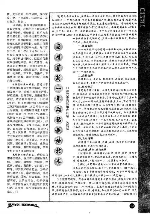 巨峰葡萄一年两熟栽培技术