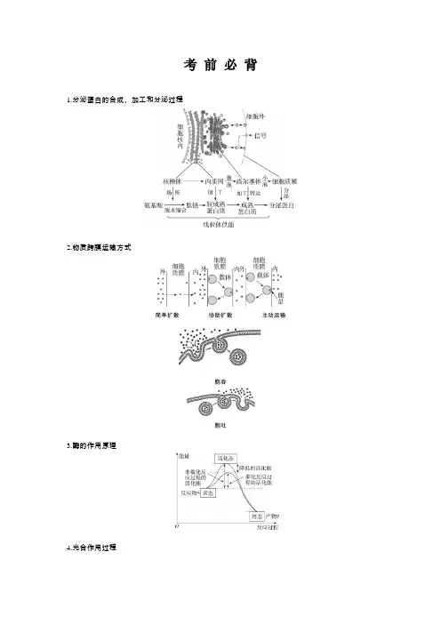 苏教版高中生物必修1课本知识点复习