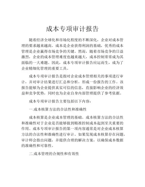 成本专项审计报告