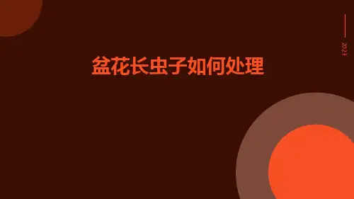 盆花长虫子如何处理