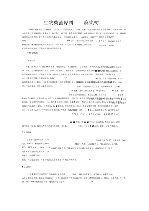 麻风树开发与利用