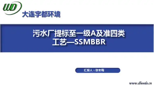 6-张冬梅 污水厂提标至一级A及准四类工艺—SSMBBR