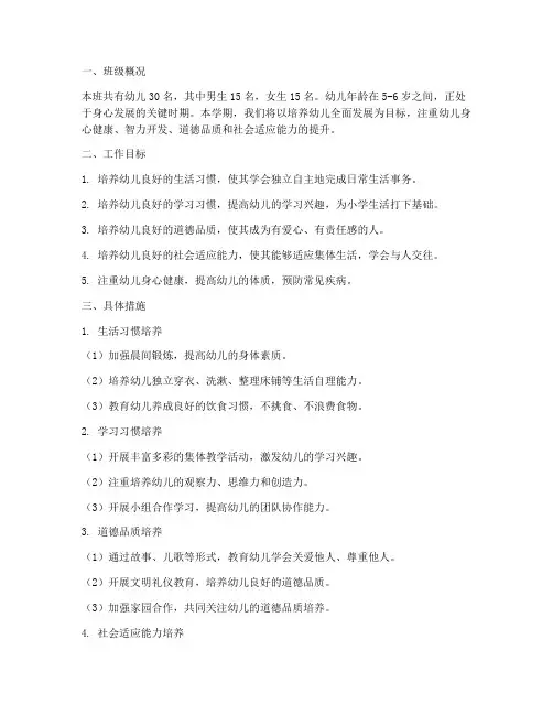 幼儿园大大二班工作计划