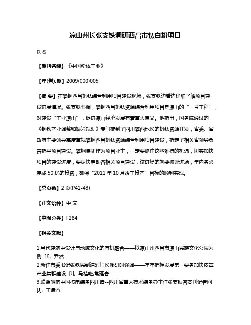 凉山州长张支铁调研西昌市钛白粉项目