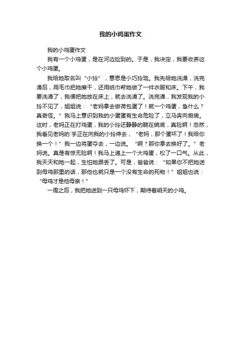 我的小鸡蛋作文