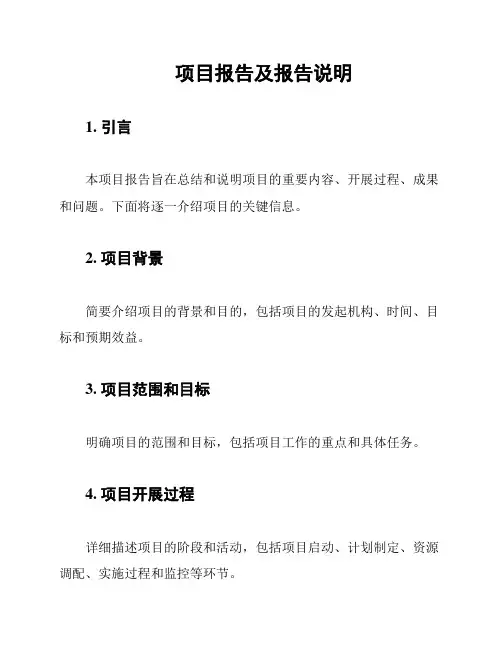 项目报告及报告说明