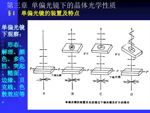 第三章单偏光
