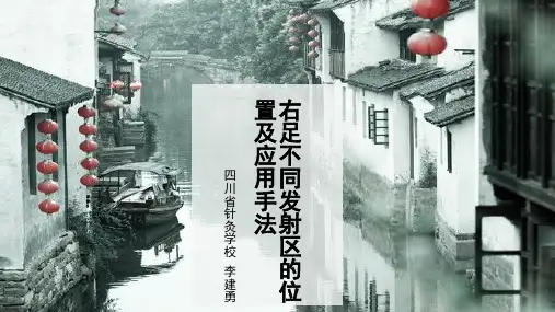 常用足反射区的位置及应用手法——右足不同的反射区.