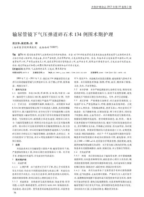 输尿管镜下气压弹道碎石术134例围术期护理田文华