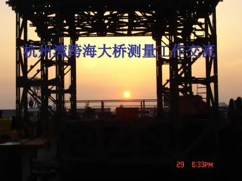 杭州湾跨海大桥测量汇报文件