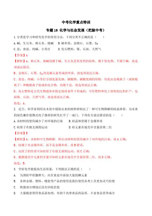 中考化学重点特训 专题16 化学与社会发展(把脉中考) (解析版)