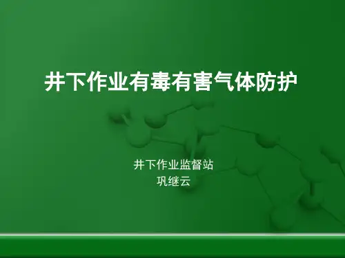 井下作业有毒有害气体防护 (2)