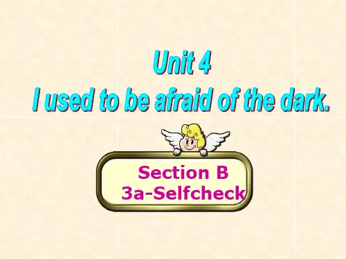 九年级英语unit4-Section-B-3a-selfcheck课件