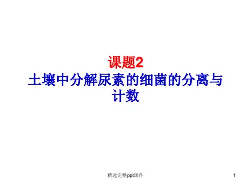 (公开课)分解尿素的细菌、分解纤维素的微生物的分离