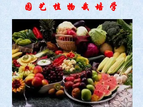 园艺植物栽培学PPT_园艺植物栽培课件_第1-3章