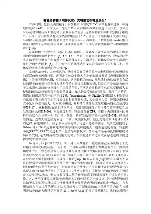 哺乳动物精子顶体反应：受精前它在哪里发生许多动物包括人类的