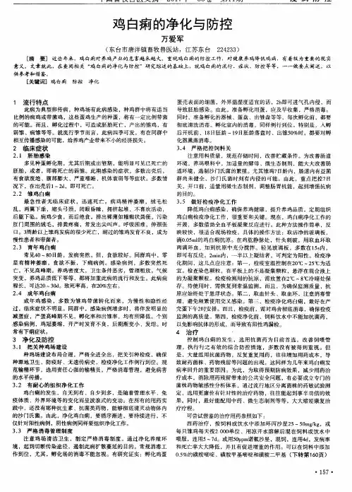 鸡白痢的净化与防控