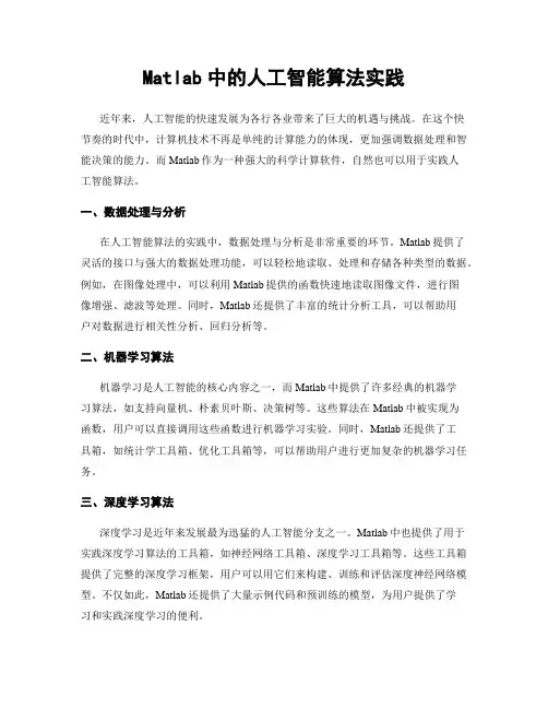 Matlab中的人工智能算法实践