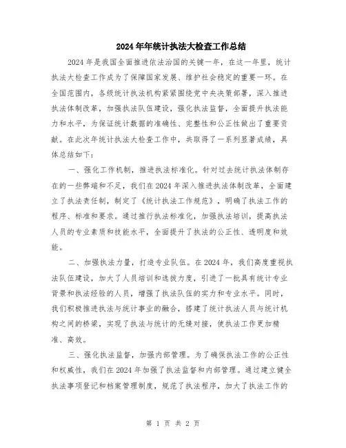 2024年年统计执法大检查工作总结