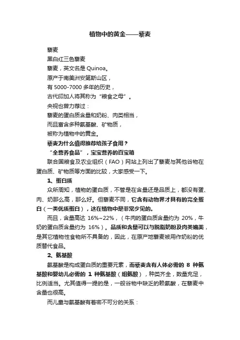 植物中的黄金——藜麦