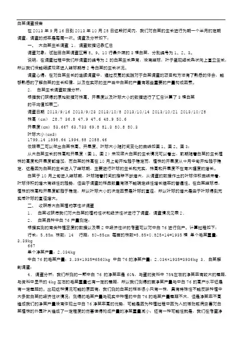 白菜实验报告