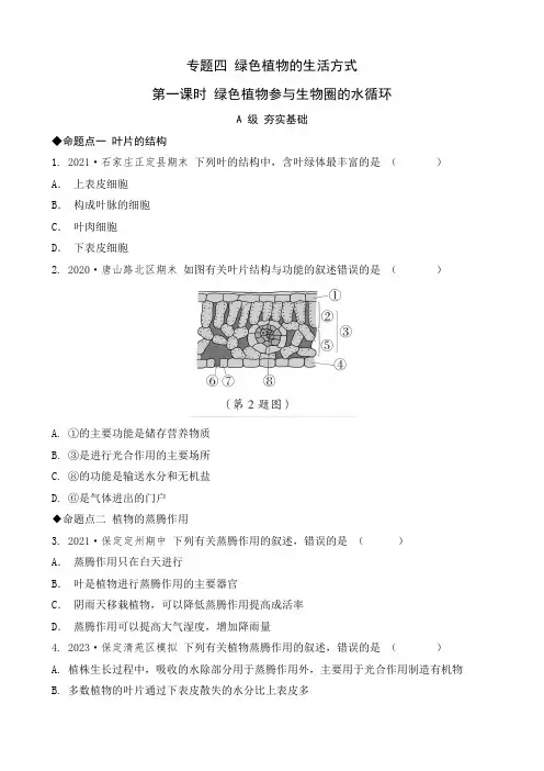 2024年河北省中考生物总复习专题分层练习：专题四+绿色植物的生活方式