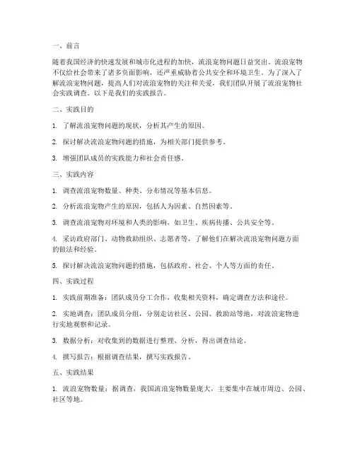 流浪宠物社会实践报告