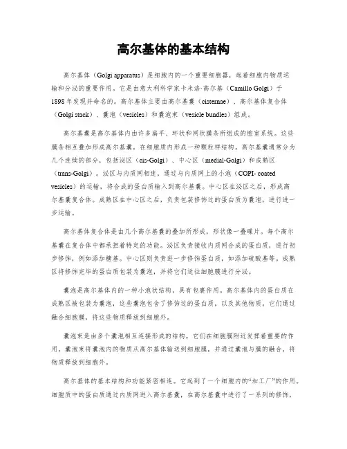 高尔基体的基本结构