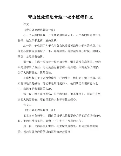 青山处处埋忠骨这一夜小练笔作文