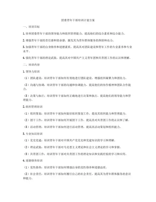 团委青年干部培训计划方案