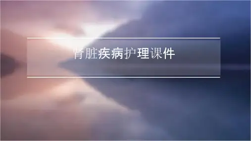 肾脏疾病护理课件