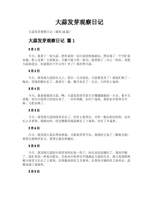 大蒜发芽观察日记