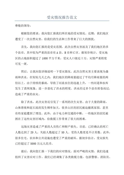 受灾情况报告范文