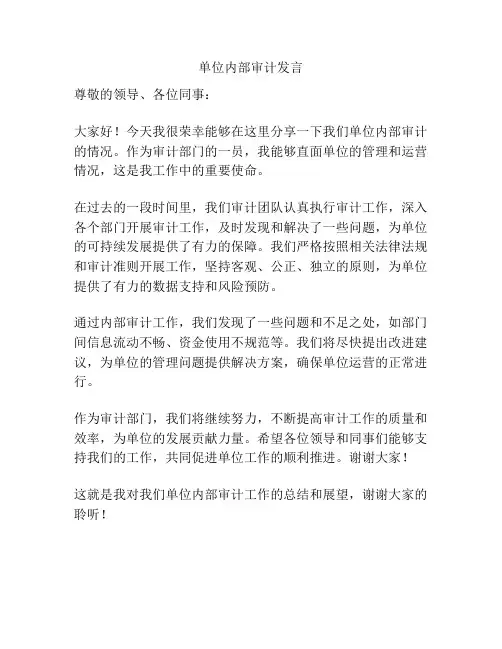 单位内部审计发言