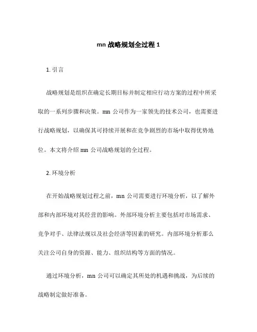 mn战略规划全过程1