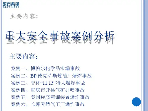 重大安全事故案例分析资料