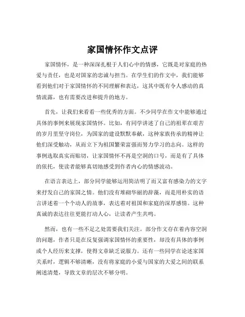 家国情怀作文点评