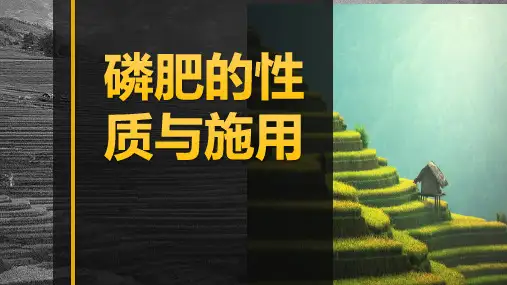 《土壤肥料》课件——4.3.3磷肥的性质与施用
