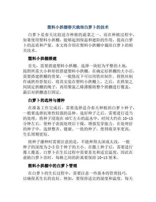 塑料小拱棚春天栽培白萝卜的技术