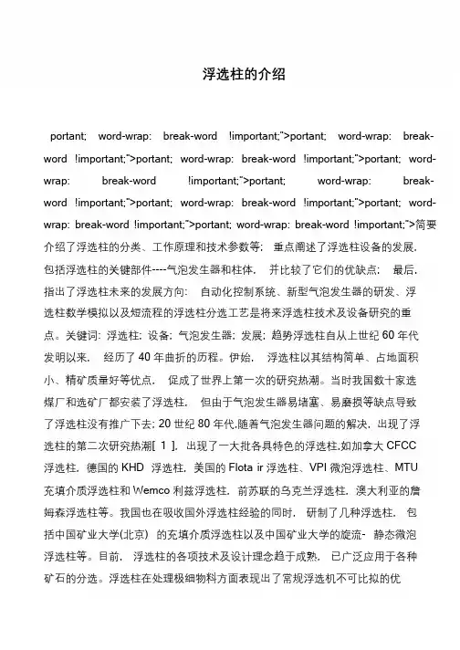 浮选柱的介绍