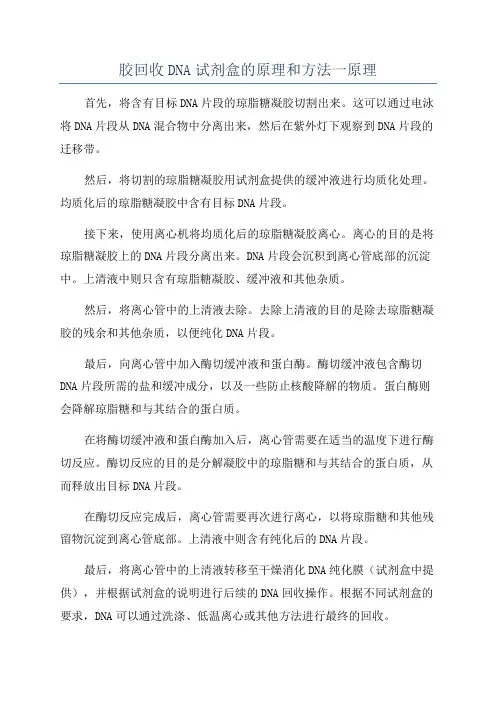 胶回收DNA试剂盒的原理和方法一原理