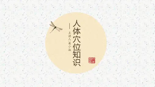 人体穴位知识ppt课件