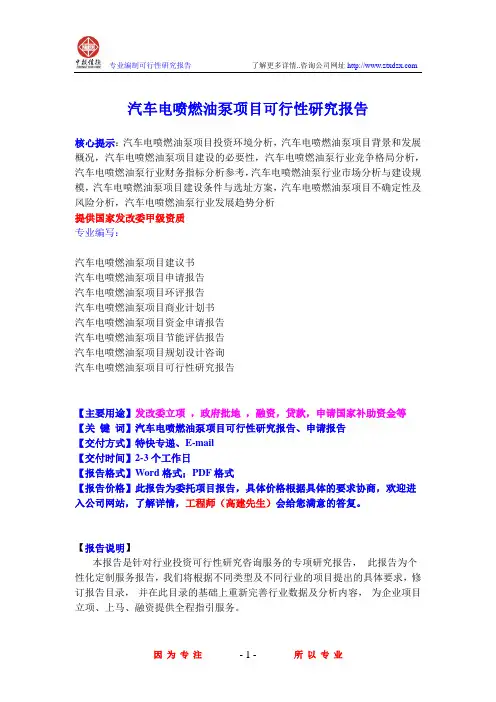 汽车电喷燃油泵项目可行性研究报告