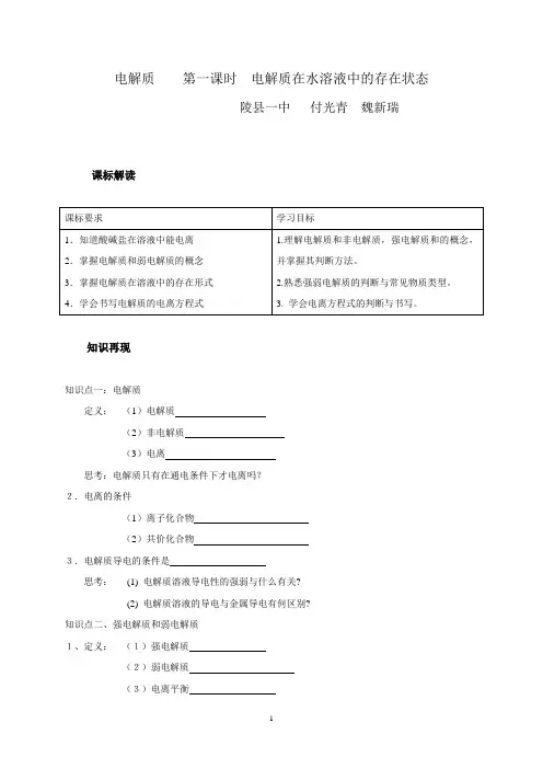 电解质1