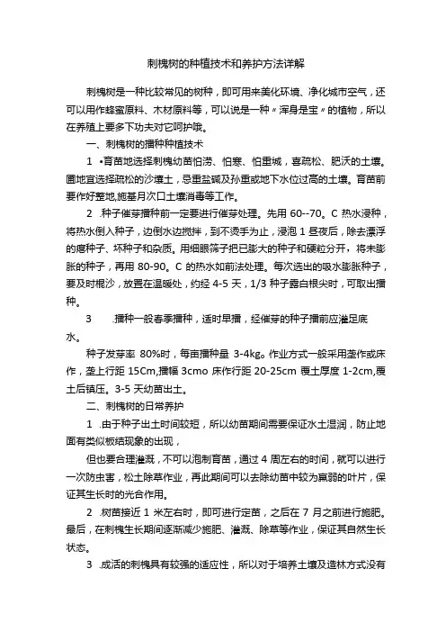 刺槐树的种植技术和养护方法详解