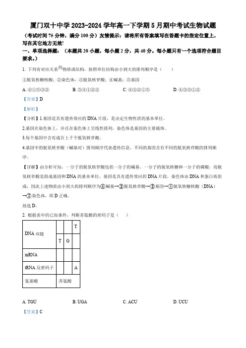 福建省厦门市湖里区厦门双十中学2023-2024学年高一下学期5月期中考试生物试题(解析版)