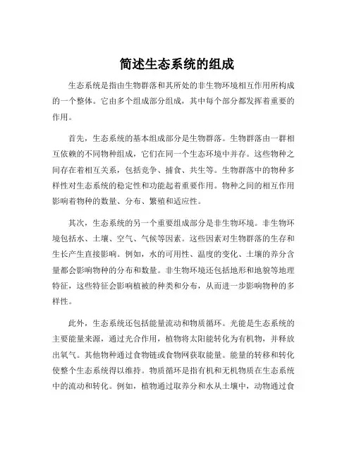 简述生态系统的组成