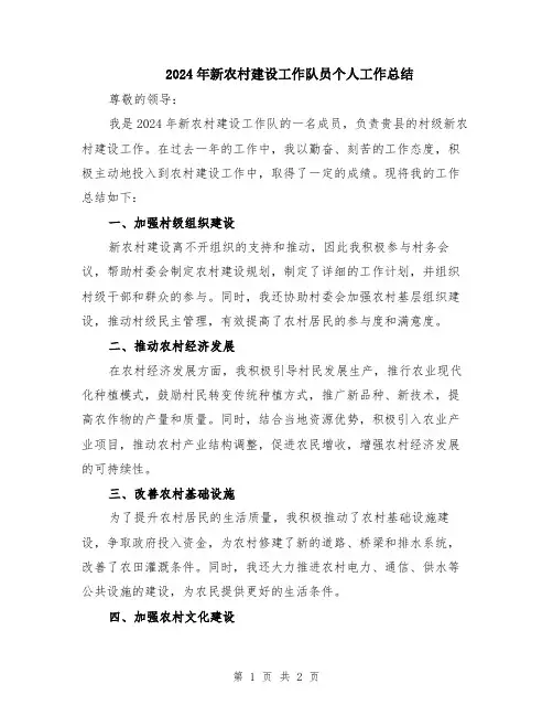 2024年新农村建设工作队员个人工作总结